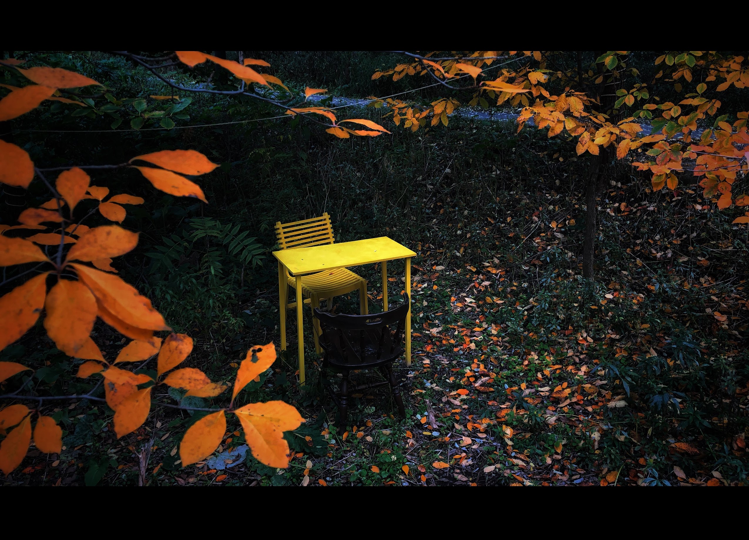 A small yellow chair among autumn leaves in Pittsburgh